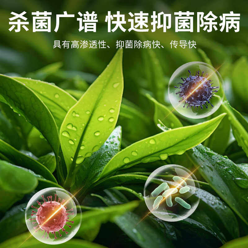 贝可施叶康灵植物病菌清抑菌免稀释营养液枯叶干尖杀菌旗舰店预防,淘宝优惠券,粉丝福利购,淘宝优惠卷