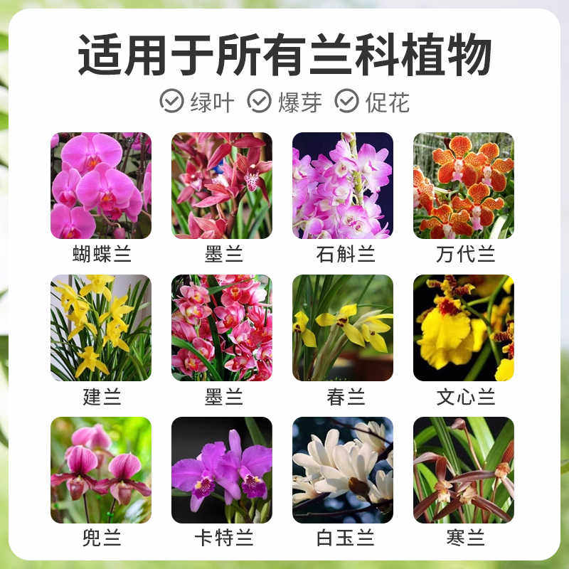 贝可施多箭素兰花专用菌肥料营养液兰灵王蝴蝶兰开花促兰花爆芽素,淘宝优惠券,粉丝福利购,淘宝优惠卷