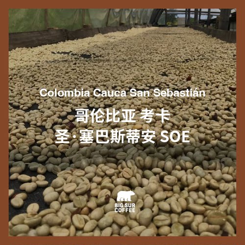 BIG SUR 深色浆果 红糖 哥伦比亚考卡圣·塞巴斯蒂安SOE中度烘焙 - 图0