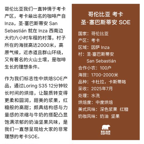 BIG SUR 深色浆果 红糖 哥伦比亚考卡圣·塞巴斯蒂安SOE中度烘焙 - 图1