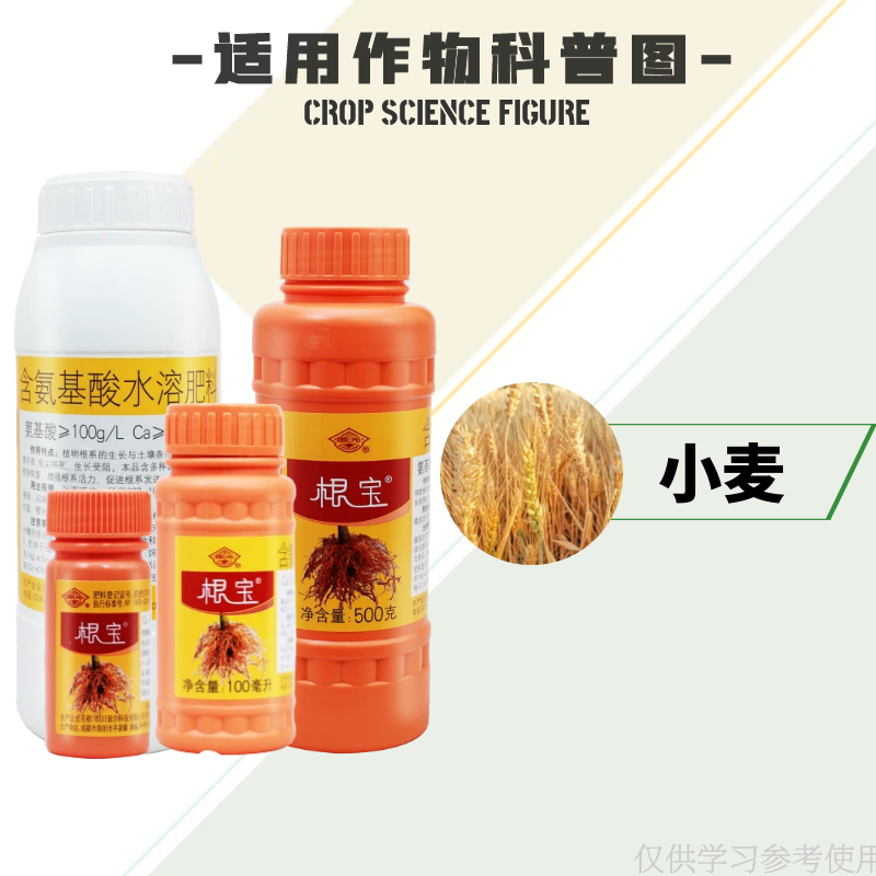 国光根宝含氨基酸水溶肥料果树月季蔬菜促进根系发育壮苗叶面肥料 - 图2