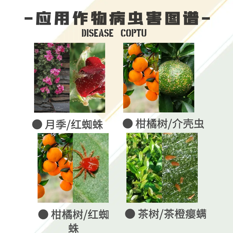 99%矿物油柑橘红蜘蛛介壳虫粉虱清园农药杀螨杀虫剂果树-图2