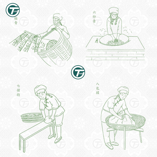 传统制茶工艺流程插画线稿手工茶叶文化包装设计辅助Ai 矢量素材 - 图1