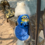 Self -Endbage Net Bet Pet Dog Self -Endbag