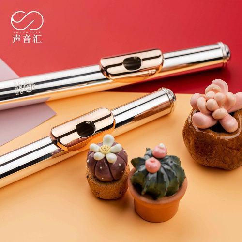 笛赵 DIZHAO DZ-602/802 银头/纯银美系手工长笛专业进阶声音汇 - 图0
