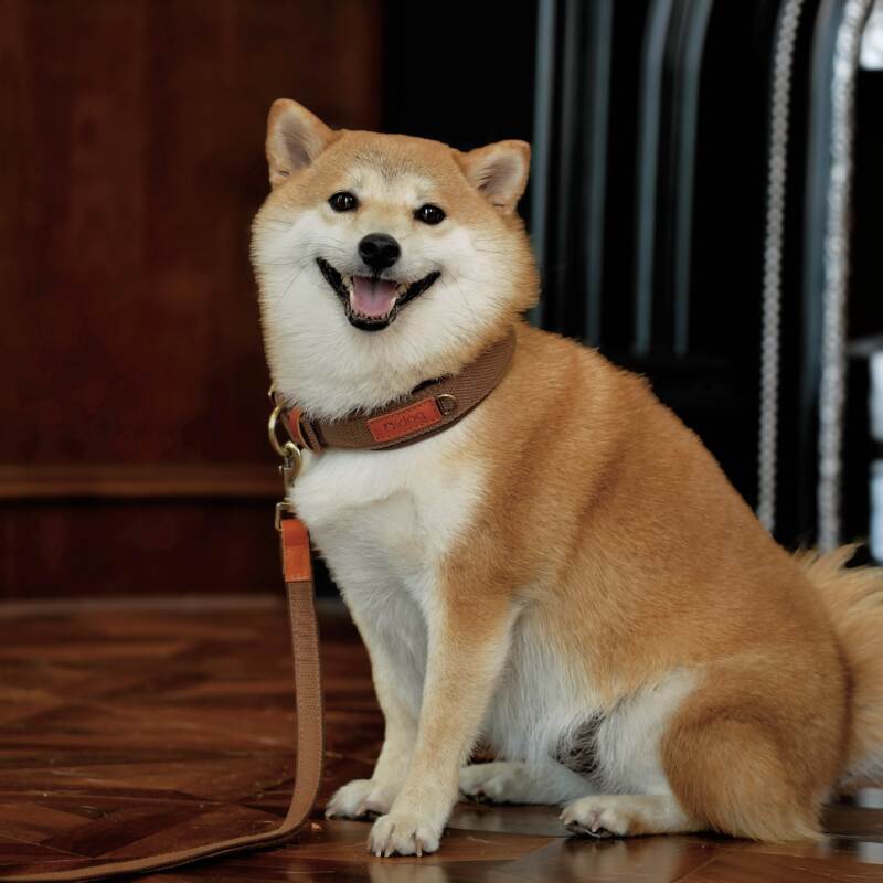 商品缩略图 1
