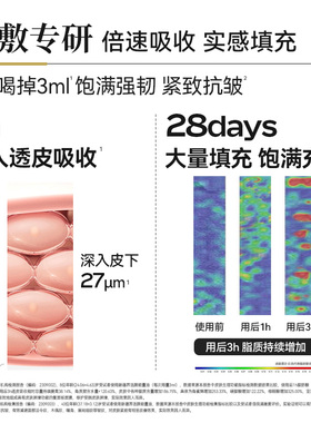 衡美肤屏障耐老精华油