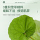 Medicinal Streptococcus Moisturizing Pore Lotion