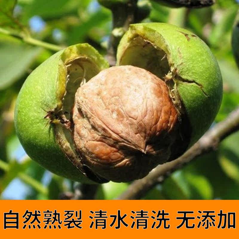 新疆阿克苏温185散装孕5纸皮核桃 上客暖村纸皮/薄皮核桃