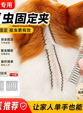 猫咪驱虫分毛夹狗狗通用固定毛发夹子宠物发夹猫狗通用头饰毛夹子