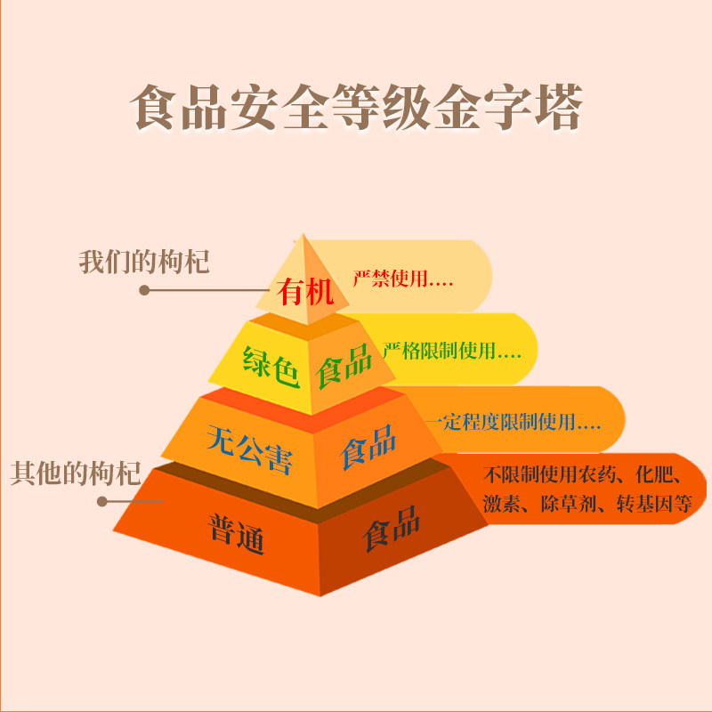 润德庄园大有杞色欧盟有机大颗粒 润德庄园滋补养生枸杞