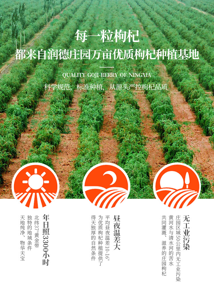 润德庄园特优级欧盟有机免洗枸杞子 润德庄园滋补养生枸杞