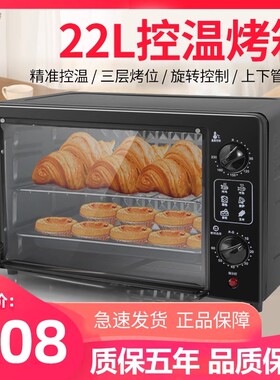 汉烤管电烤箱家用家庭
