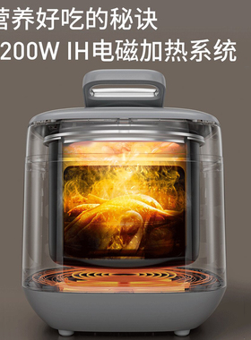 九阳电压力煲电磁加热1200W双胆