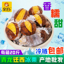 Authentic Qinglong ice chestnut ice chestnut ice chestnut Bulk 20 tons of roasted chestnuts quick-frozen opening laughs Hebei Teprolific ready-to-eat