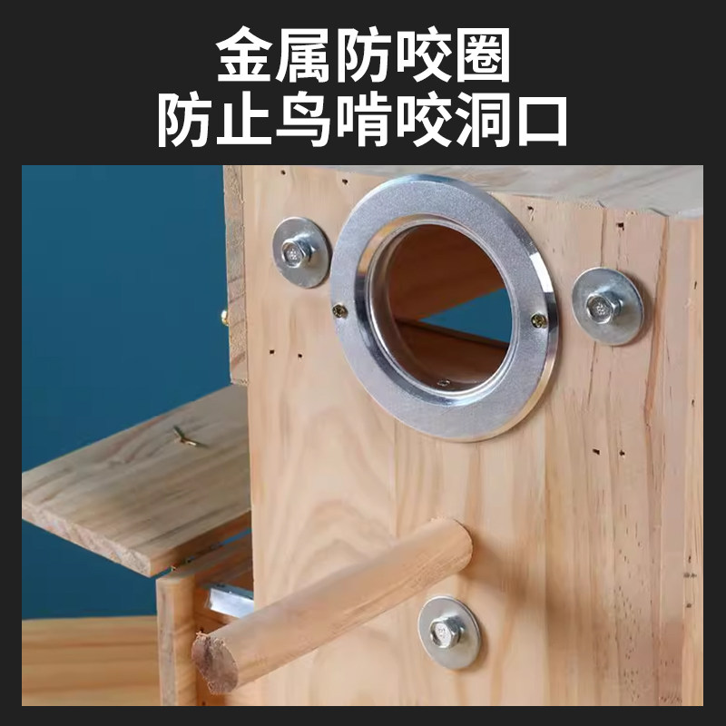 虎皮鹦鹉内挂牡丹实木鸟窝横式挂窝竖式鸟窝鸟巢户外保暖繁殖箱,淘宝优惠券,粉丝福利购,淘宝优惠卷