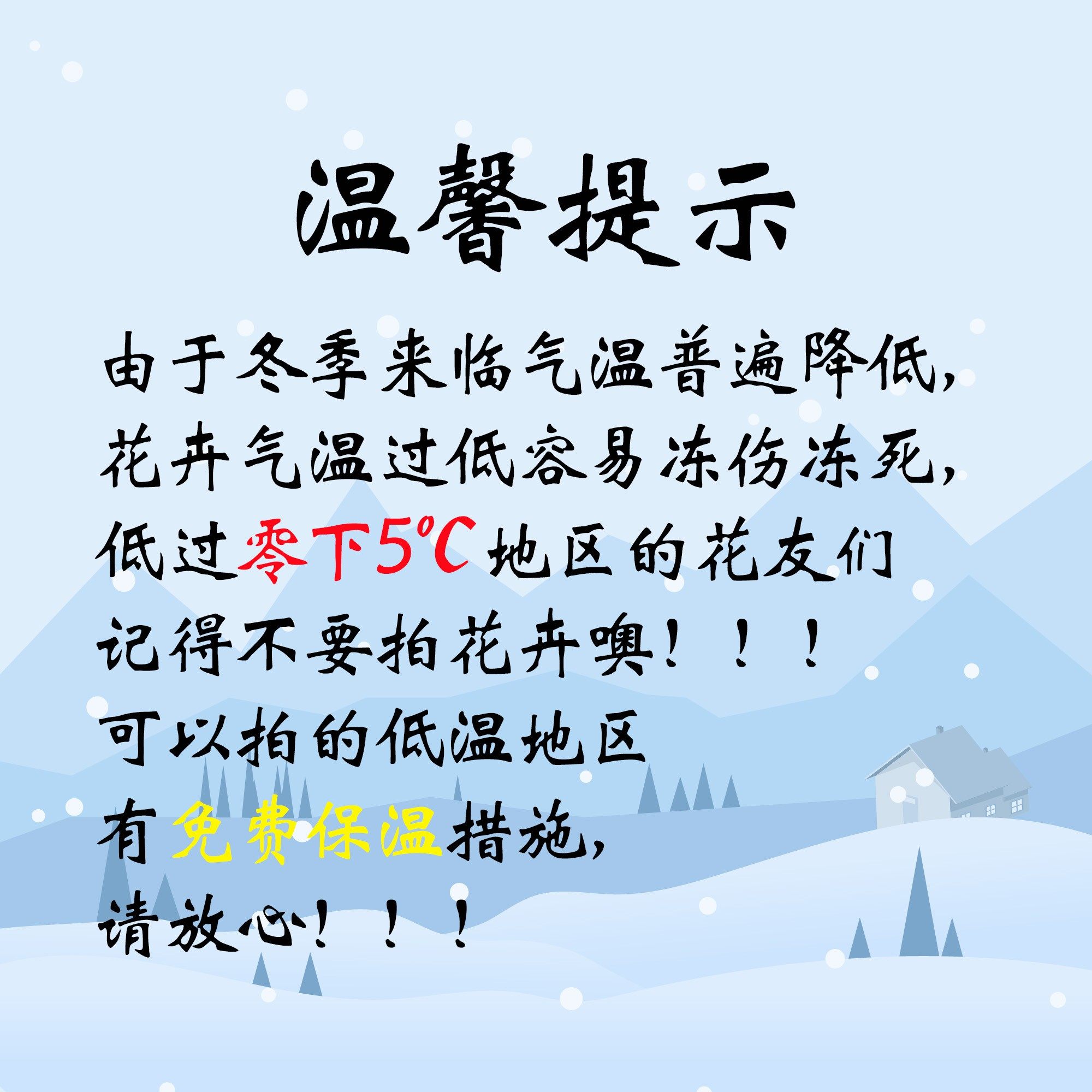 【零度生物】(小球种好)斑点纹西蕾丽蝴蝶兰,淘宝优惠券,粉丝福利购,淘宝优惠卷