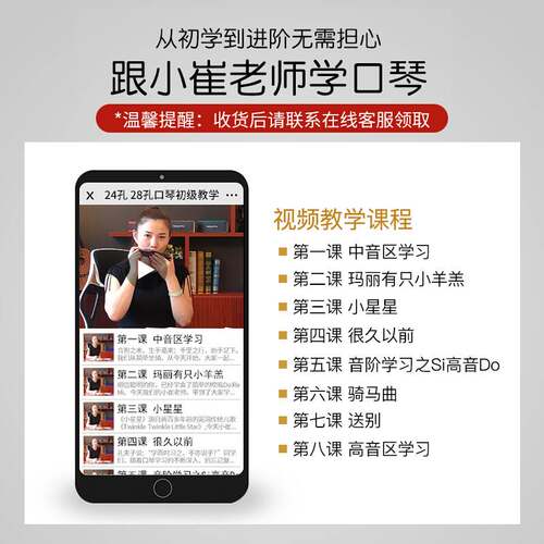 天义口琴24孔c调复音专业演奏级成人儿童男女初学者学生入门正品 - 图2