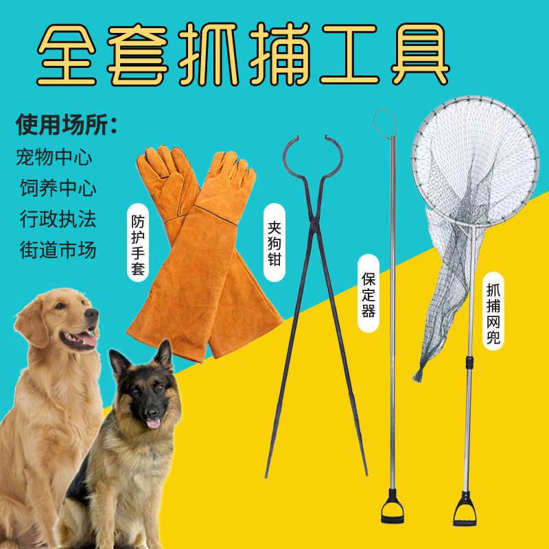 狗捕捉 新人首单立减十元 21年9月 淘宝海外