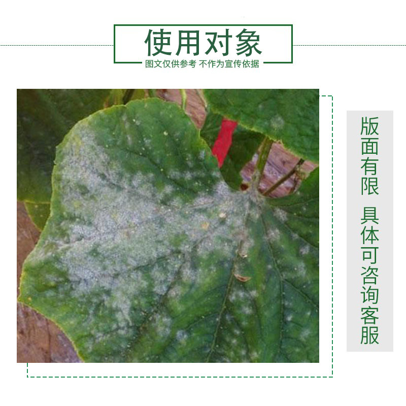 百农思达70%甲基硫菌菌灵草莓葡萄黄瓜白粉病专用药农药杀菌剂