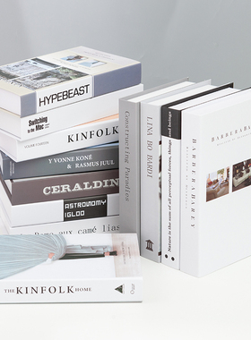 北欧风现代样板间摆设拍摄仿真书