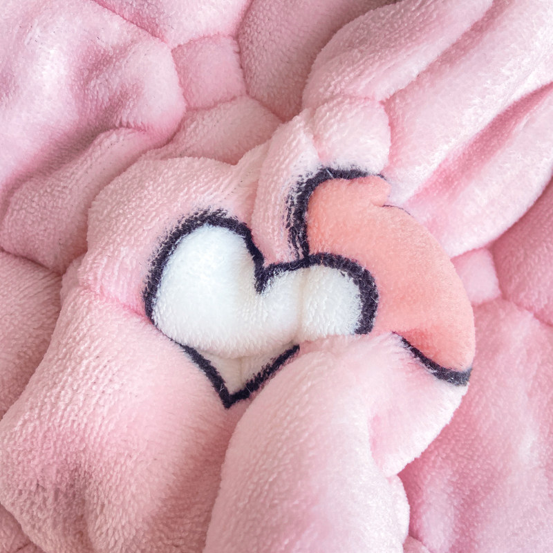 牛奶绒加厚夹棉防滑毛绒面毯子床单榻榻米毛毯法兰珊瑚绒铺床垫毯