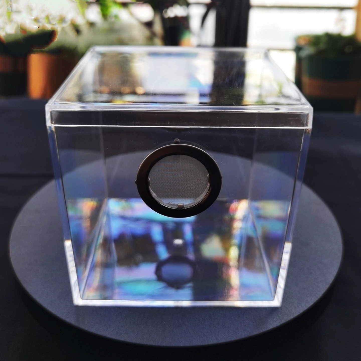 甲虫饲养盒打孔透气不锈钢网片 爬宠密网防焖通风安装DIY改装配件,淘宝优惠券,粉丝福利购,淘宝优惠卷