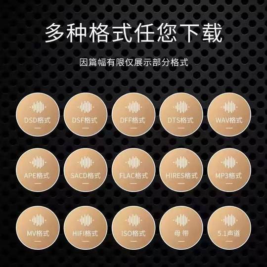 DSD无损音乐hires母带音源下载包wav/flac/HIFI车载视频mp3高品质
