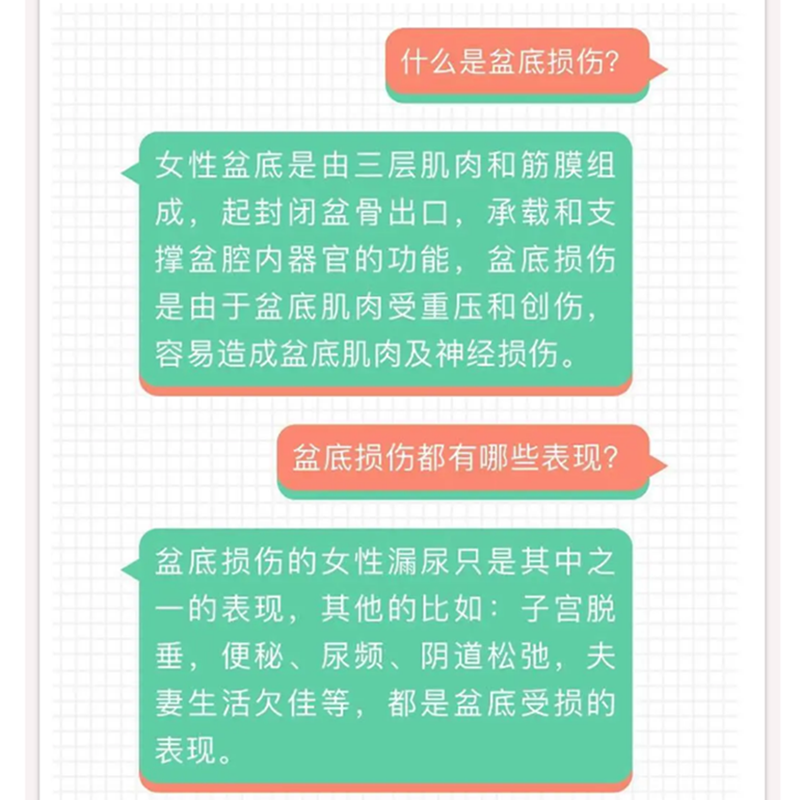 女性盆底康复学 盆底功能障碍性疾病康复盆底肌方案骨盆骨骼肌肉解剖康复运动教程训练 四川大学出版社9787569034417 - 图3