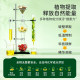 English Hawthorn, Poria, Light Bamboo Leaf, Snow Pear, Fatty Sea, Luo Han Guo, Qing Qing Bao, Qing Huo Bao Plant Drink for Direct Drinking