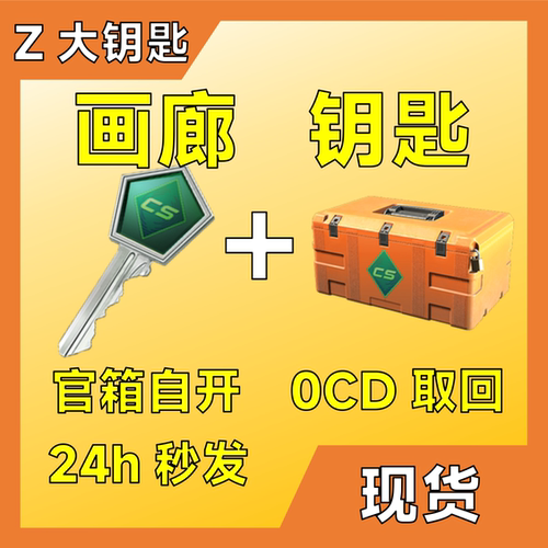 【现货秒发】CS2画廊钥匙带箱子武器箱可云开官箱自开csgo大Z大 - 图2