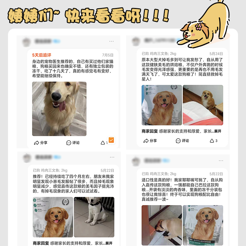 【旺财】B85嘉传全价烘焙犬粮 美毛护肤增肌强健骨骼成幼犬粮狗粮 - 图2