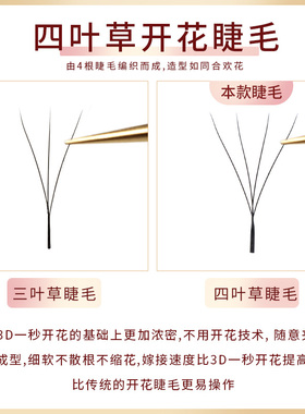 四叶草开花睫毛美睫店专用