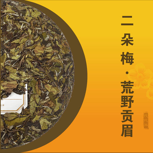 梅相靖大师二朵梅2016年荒野贡眉正宗福鼎老白茶茶叶紧压茶饼300g - 图2
