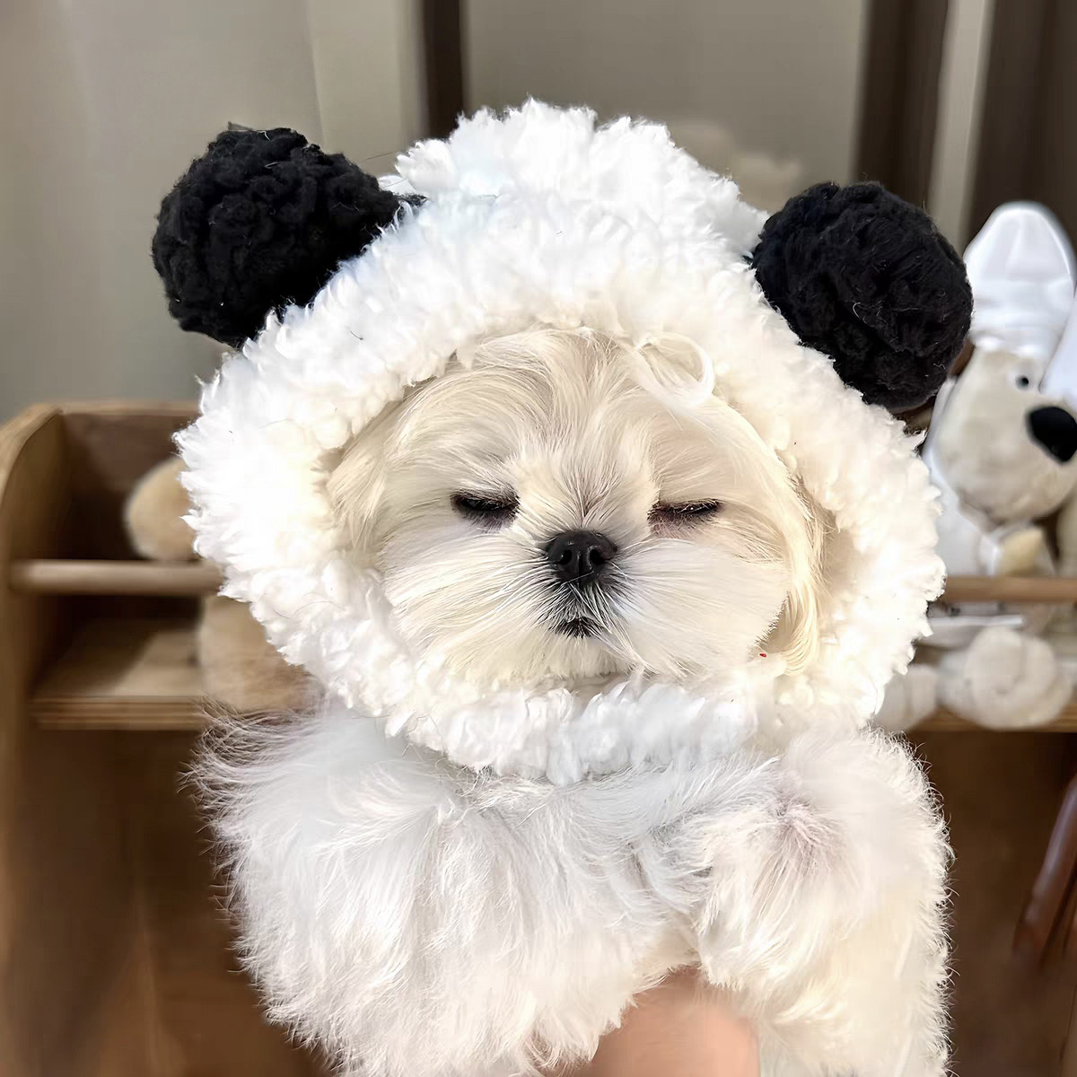 宠物帽子狗狗猫咪头套可爱冬天小型幼犬比熊泰迪马尔济斯保暖头饰,淘宝优惠券,粉丝福利购,淘宝优惠卷