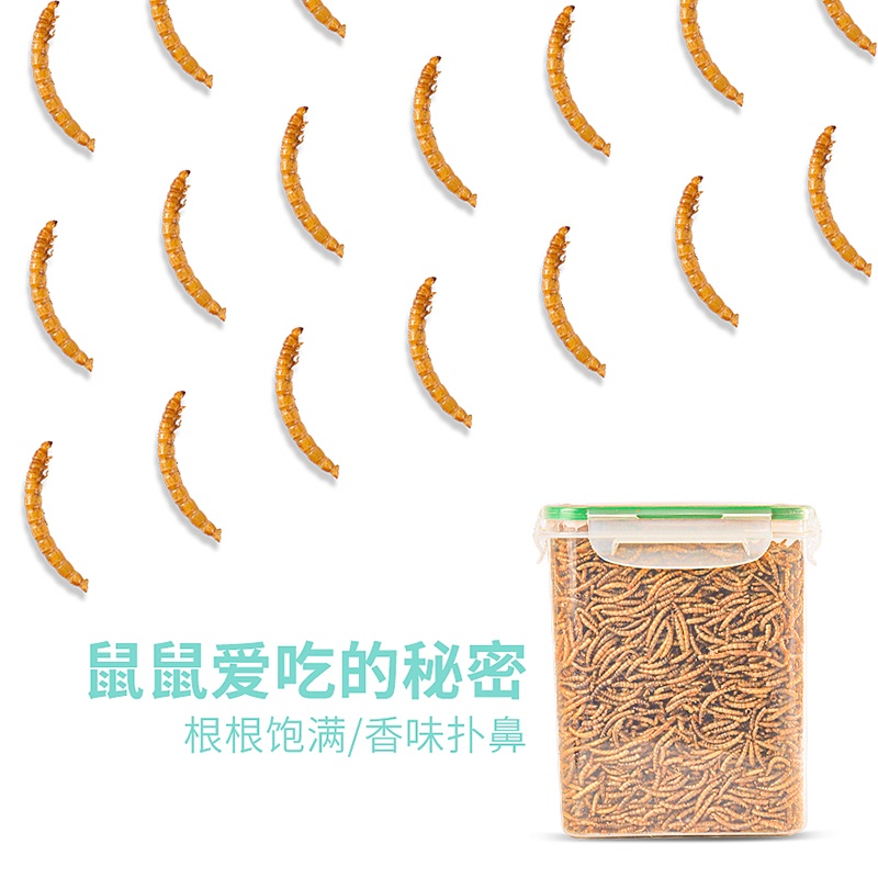 龟粮黄粉虫干仓鼠粮食刺猬金丝熊面包虫干零食用品主粮面包虫 - 图1