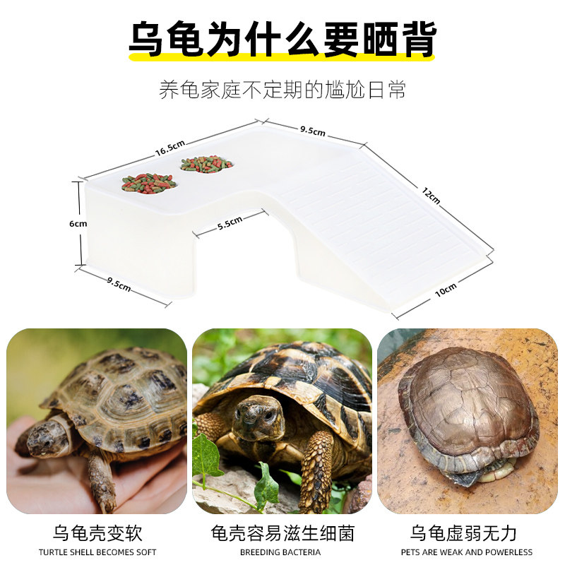 乌龟晒台爬台休息台养龟缸造景一体过滤龟箱爬坡爬梯晒灯躲避休息,淘宝优惠券,粉丝福利购,淘宝优惠卷