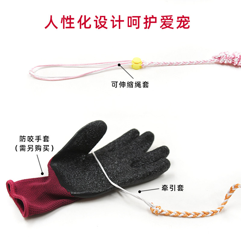 仓鼠牵引绳小宠物用品遛乌龟绳猫咪兔子荷兰猪小鸭子松鼠伸缩绳子,淘宝优惠券,粉丝福利购,淘宝优惠卷