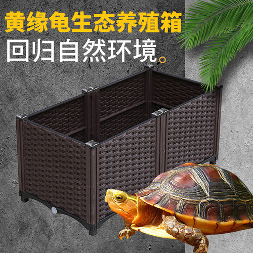 黄缘龟饲养箱安缘台缘闭壳龟苗造景植物生态环境乌龟专用缸养殖箱 - 图0