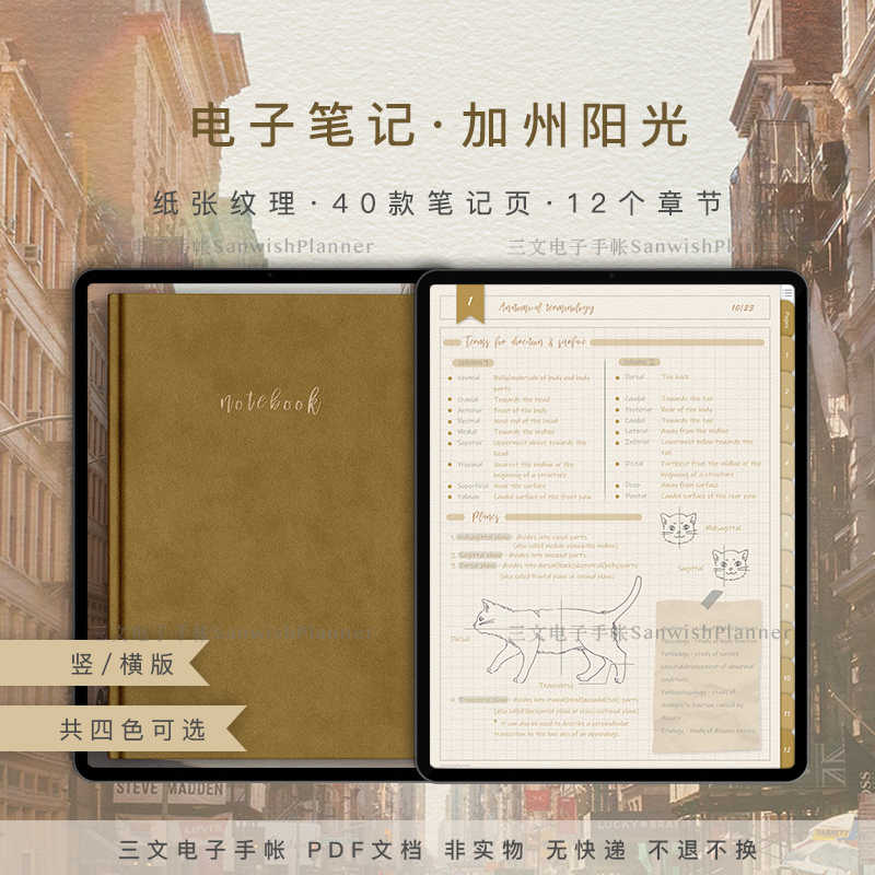 笔记本模板 新人首单立减十元 21年8月 淘宝海外