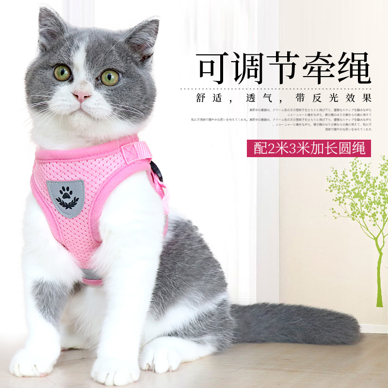 猫咪牵引绳防挣脱背心式小奶猫可调节可爱外出溜猫神器加长遛猫绳 - 图0