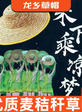 优质超大草帽农民沙滩户外遮阳夏防晒女大檐大沿男草帽子遮阳帽