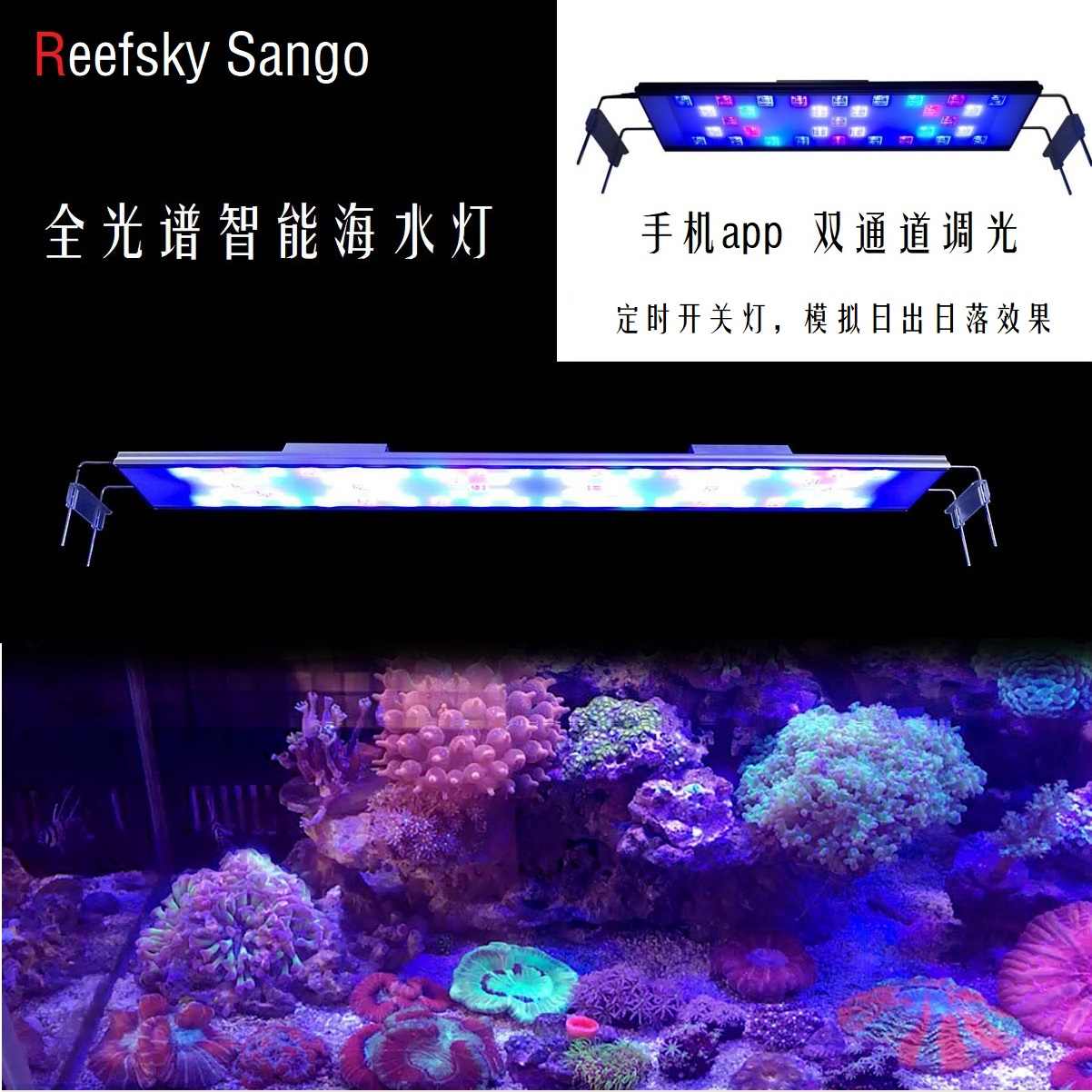 海水灯珊瑚灯 新人首单立减十元 22年2月 淘宝海外