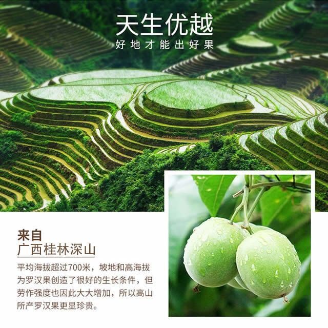 野生罗汉果30-50个多清肺泡茶干果 酷菲特食品罗汉果