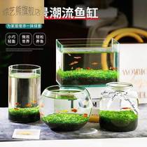 Hydroponic plant fish tank integrated fish tank decorated with view water plant glass vase transparent water grass muddy grass seed