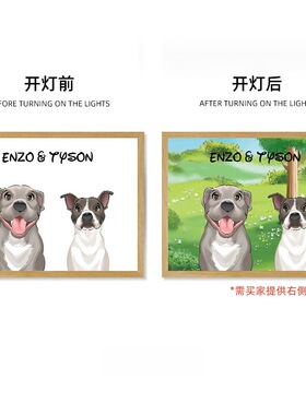 跨境货源宠物灯光画装饰画厂家带小夜灯创意相框摆台来图制作