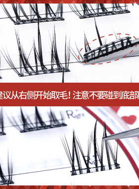 单簇太阳花免胶款假睫毛安吉猫