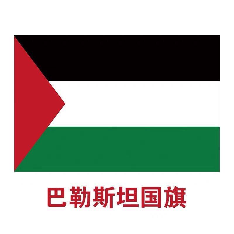 巴勒斯坦国旗世界各国手摇红旗旗帜旗子定制大号 - 图0