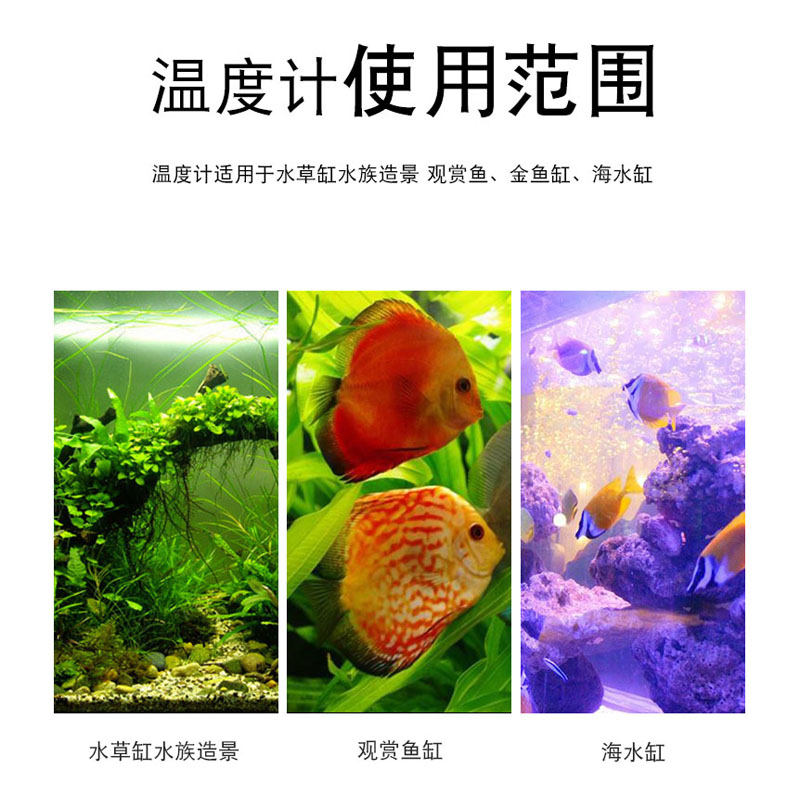 沃韦朗贴片温度计水族鱼缸电子缸内养鱼乌龟缸水温计测量高精度 - 图2