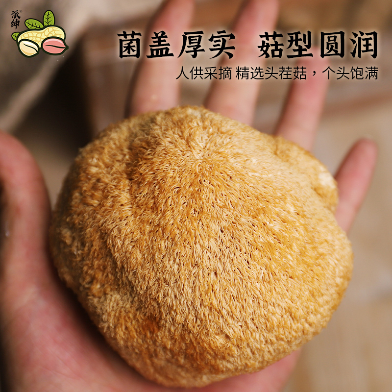 派绅猴头菇150g/袋干货 福建古田特产菌菇蘑菇菌子煲汤可打粉 - 图3